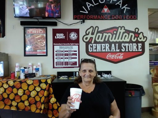 Hamiltons General Store - Visual