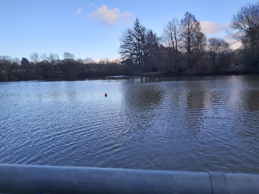 Ifield Mill Pond - Visual