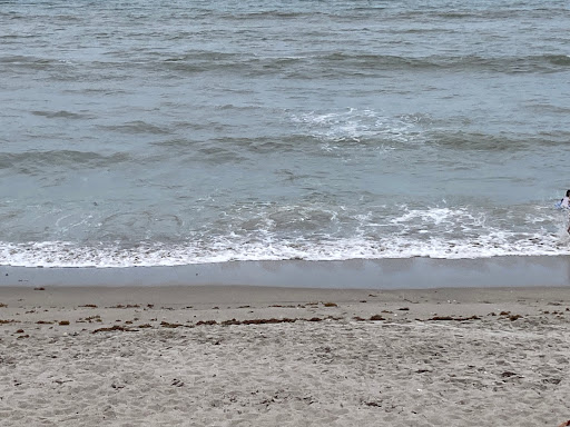 Brevard Barrier Island Reef at Pelican Beach Park 28.168561, -80.584314 - Thumbnail