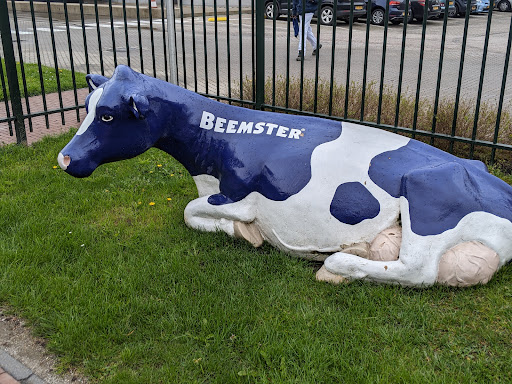 Cono Kaasmakers