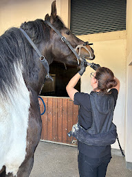 Photo n°1 de Technicien dentaire équin Goetz Louise Alsace-Grand Est à Barr (Vétérinaire)