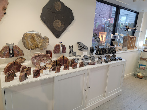 Natural Elements: A Nature and Science Store - Thumbnail