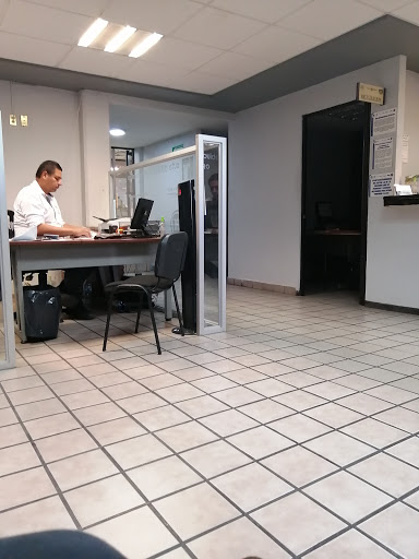 Servicio Mopar - Visual