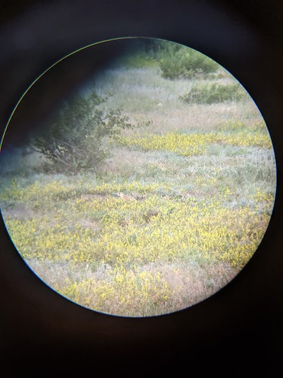 Greycliff Prairie Dog Town State Park