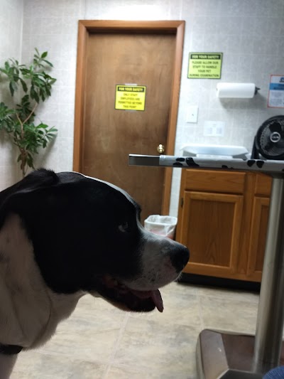 Photos of Audubon Animal Clinic Inc