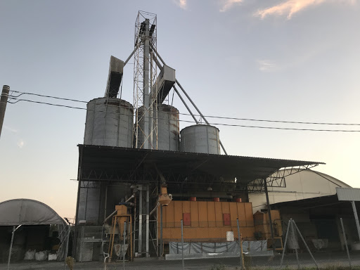 Minguzzi Bruno srl - Visual
