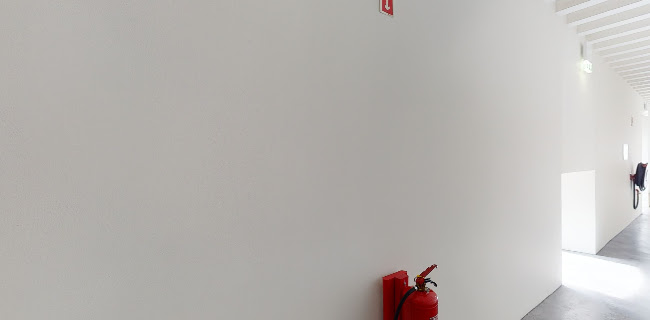Arquipélago - Centro de Artes - Ribeira Grande