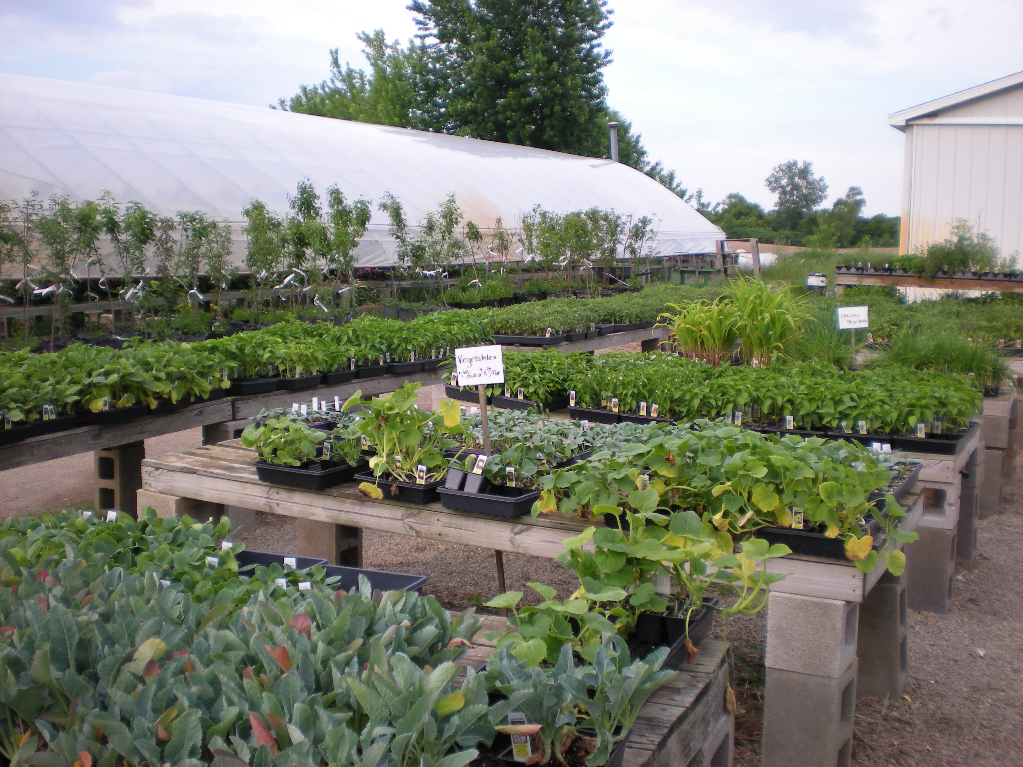 Turpin's Nursery