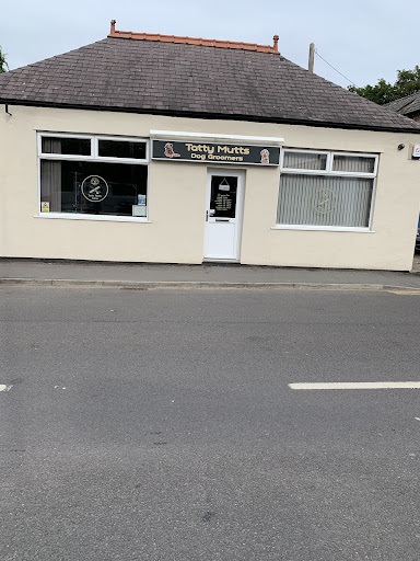 Tatty Mutts Dog Groomers