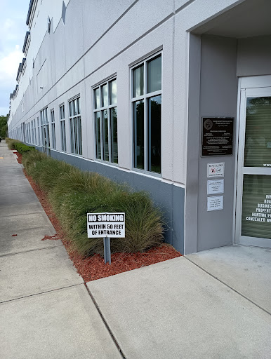 Florida DMV - Visual