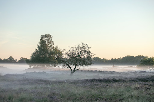 Parkeerplaats Gasterse Duinen - Thumbnail