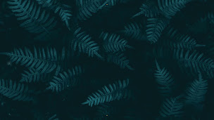 Photo n°2 de Meubles Des Hunaudières à Mulsanne (Magasin de meubles de bureau)