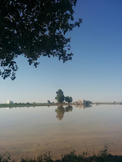 Photos of Illa de Sapinya