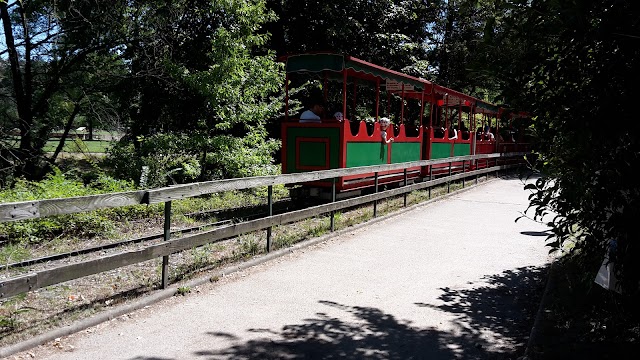 Le Petit Train du Parc de la Tête d'Or