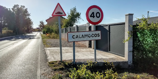 Calamocos
