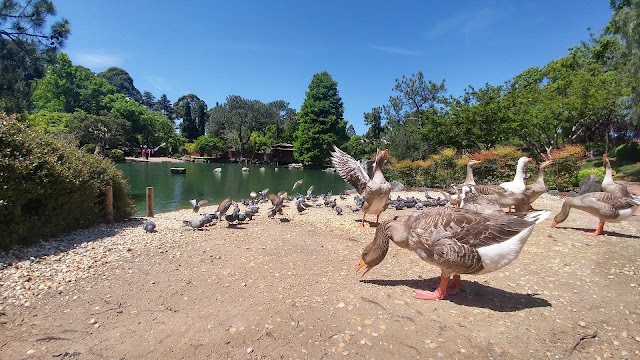 Auburn Botanic Gardens