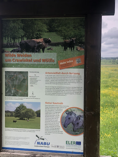 Rastplatz Crawinkel - Visual
