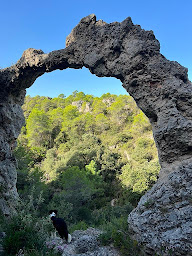 Photo n°9 de Olivier CAPITAINE - Capifrance - à Clermont-l'Hérault (Consultant immobilier)