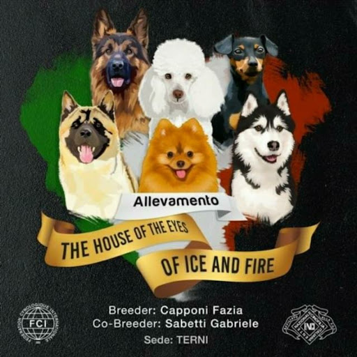 ALLEVAMENTO dei the HOUSE of EYES of ICE and FIRE Logo