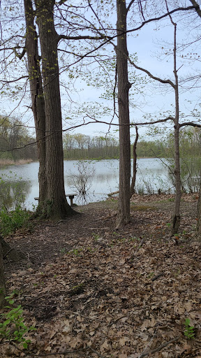 Seneca Ponds - Visual