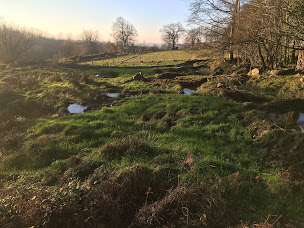 Photo n°6 de Nid au Jan à Coulouvray-Boisbenâtre (Terrain de camping)