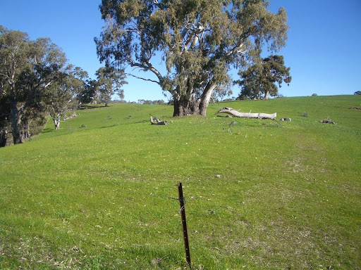 Closes Farmyard