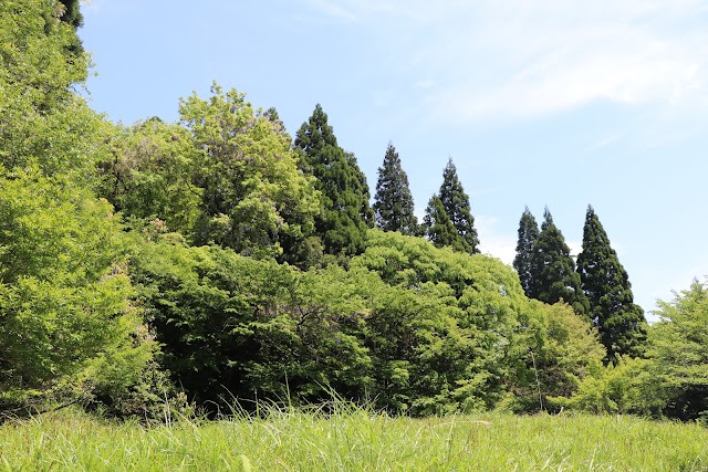 Enko-ji Temple Remains