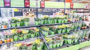 Photo n°42 de Lidl à Saint-Paul-lès-Dax (Supermarché)