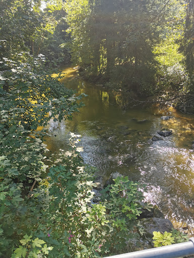 Immenbrücke - Visual