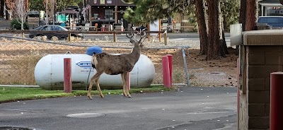 Sisters Ranger Station - Deschutes National Forest