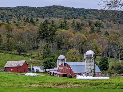 Arlington Covered Bridge