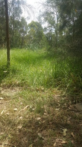 Broughton Reserve - Thumbnail