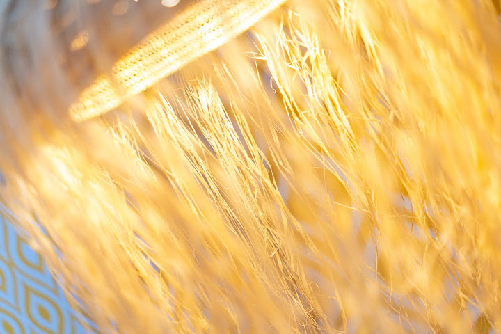 Duna Hotel Boutique by null