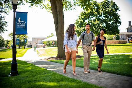 Universidad Mount St. Mary