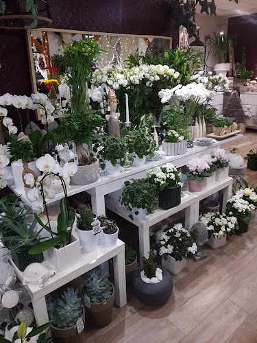 fleur-dardoise.business.site