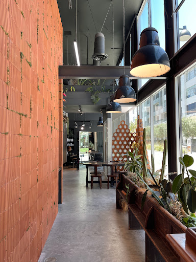 Nova Arts Salon - Thumbnail