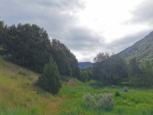Ridgeline Trail Trailhead - Thumbnail