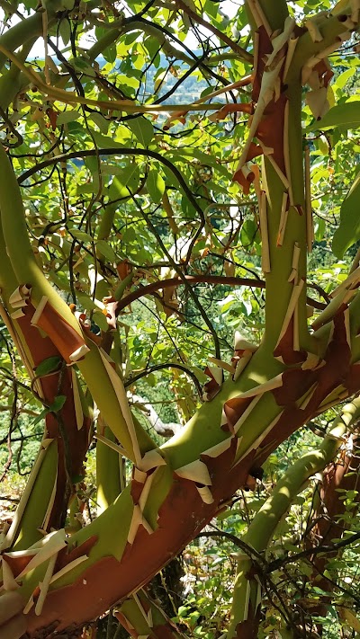 Madrone Wall Park and Climbing Area