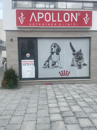 APOLLON VETERİNER KLİNİĞİ BODRUM