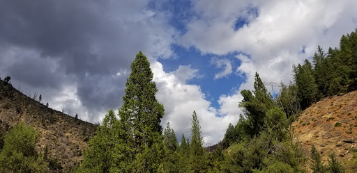 Gansner Bar Campground - Thumbnail
