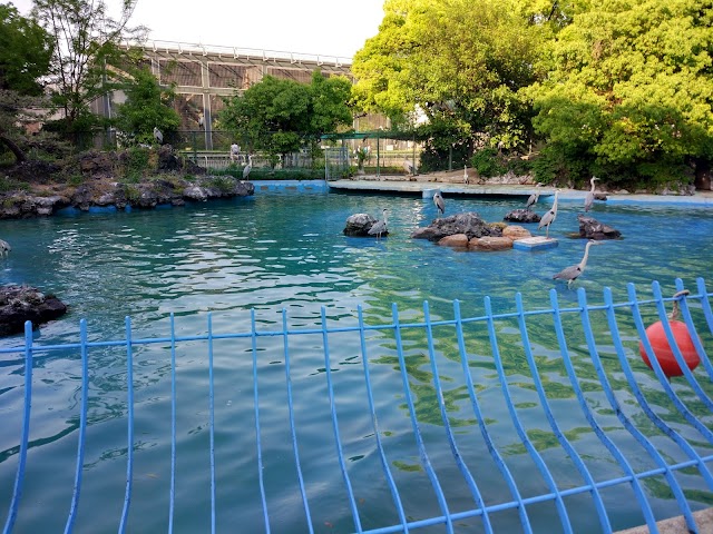 Zoo de Tennoji