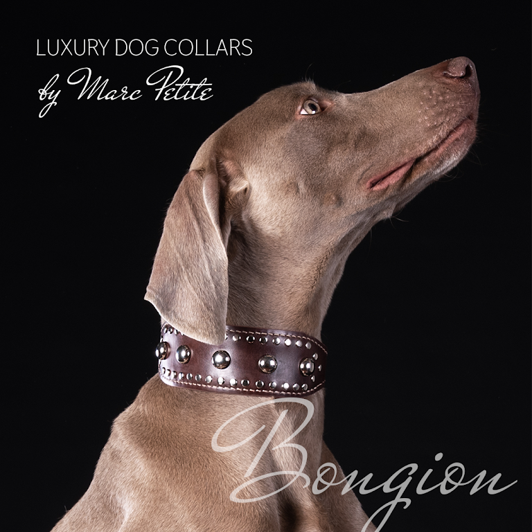 Designer Dog Collars by Marc Petite