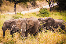 Absolute Holiday Safaris, Nairobi, Kenya