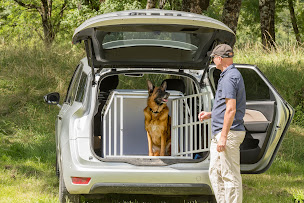 Photo n°4 de Dibaro, caisse de transport pour chien à Mézières-en-Brenne (Magasin d'articles pour animaux)