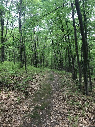 Holly Springs Trail - Thumbnail