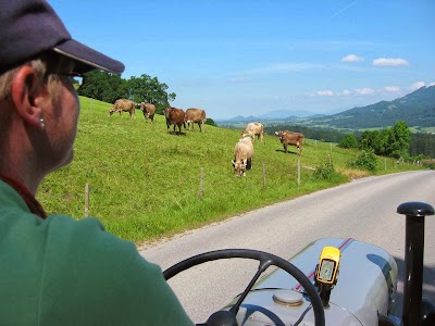 Photos of Oldtimer-Traktor-Vermietung Strobel