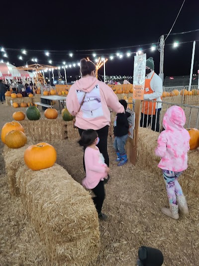 Seasonal Adventures Pumpkin Patch and Christmas Trees