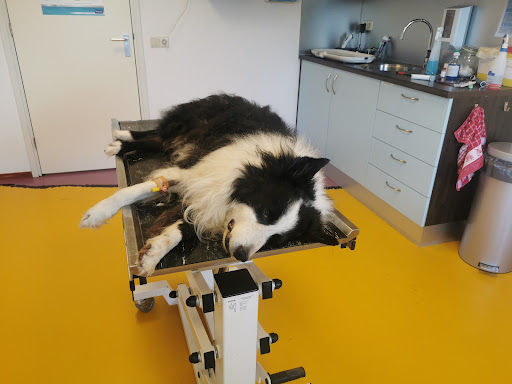 Dierenkliniek Delft-Zuid