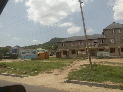 Photos of Hybrid Feeds Depot