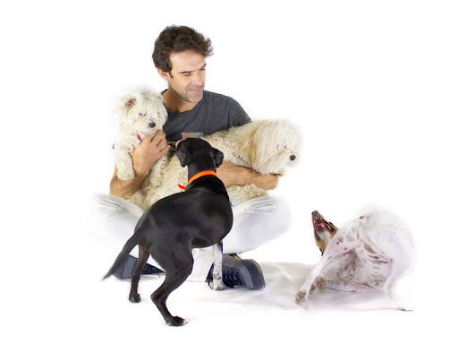 ÁVALOS CLÍNICA VETERINARIA